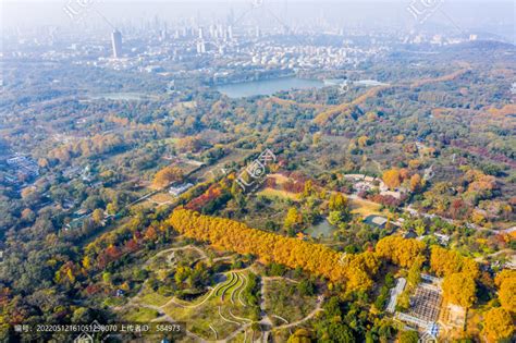 南京山|钟山风景名胜区